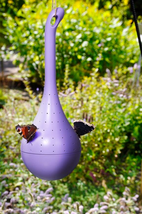 Butterfly Oasis Mangeoire à Papillons, violette