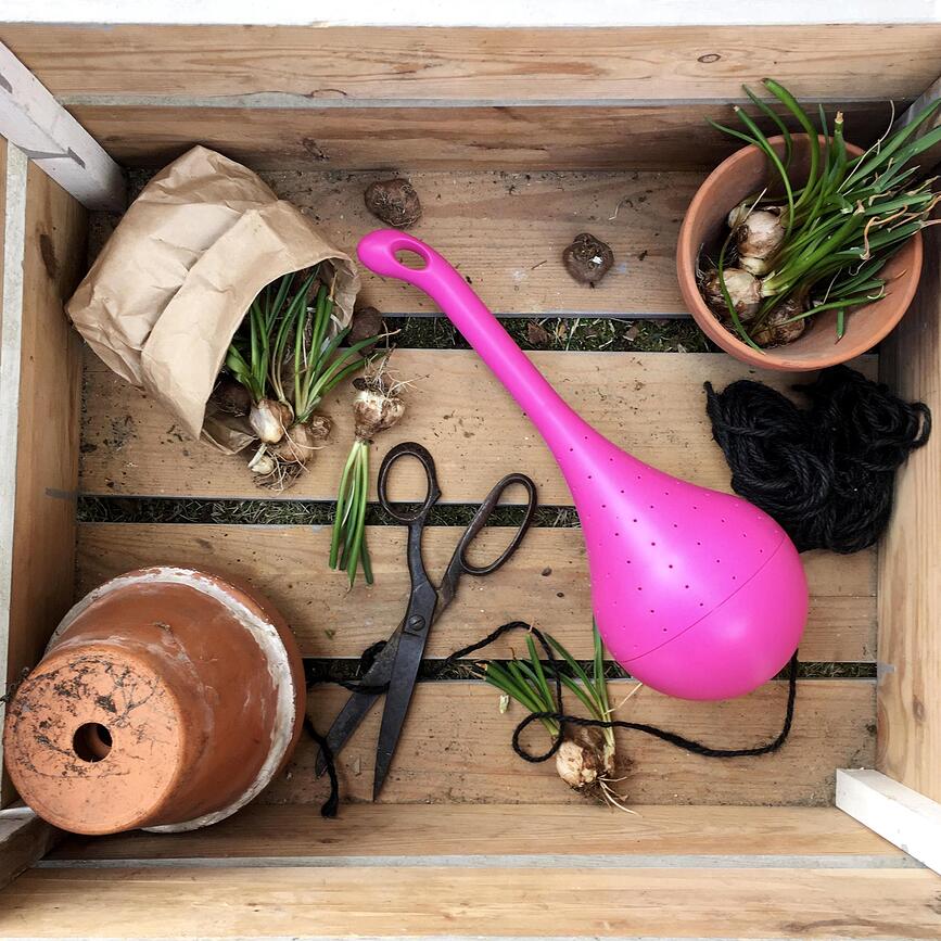 Butterfly Oasis Ταΐστρα για Πεταλούδες, μωβ