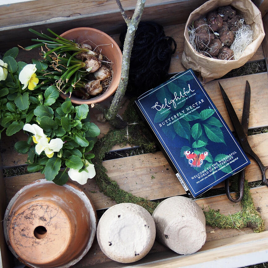 Butterfly Oasis Ταΐστρα για Πεταλούδες, μωβ