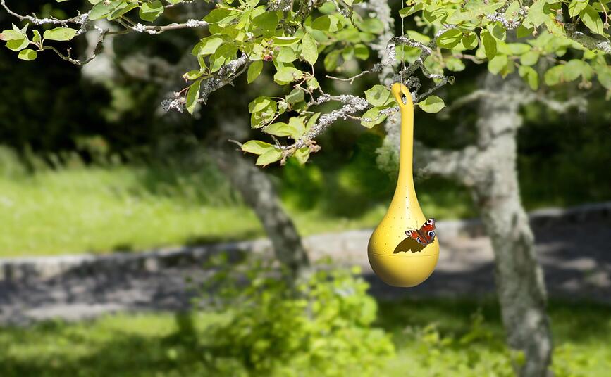 Butterfly Oasis Ταΐστρα για Πεταλούδες, μωβ