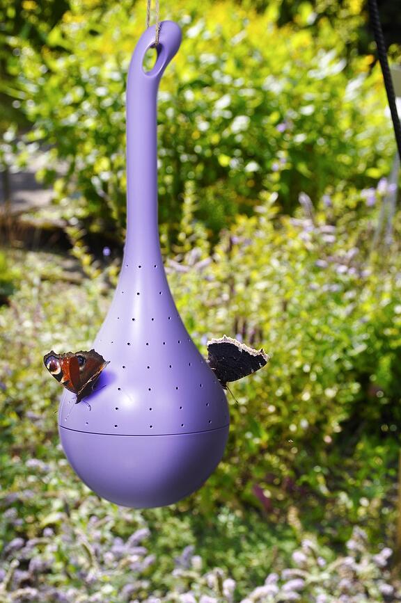 Comedero para Mariposas Butterfly Oasis, morado
