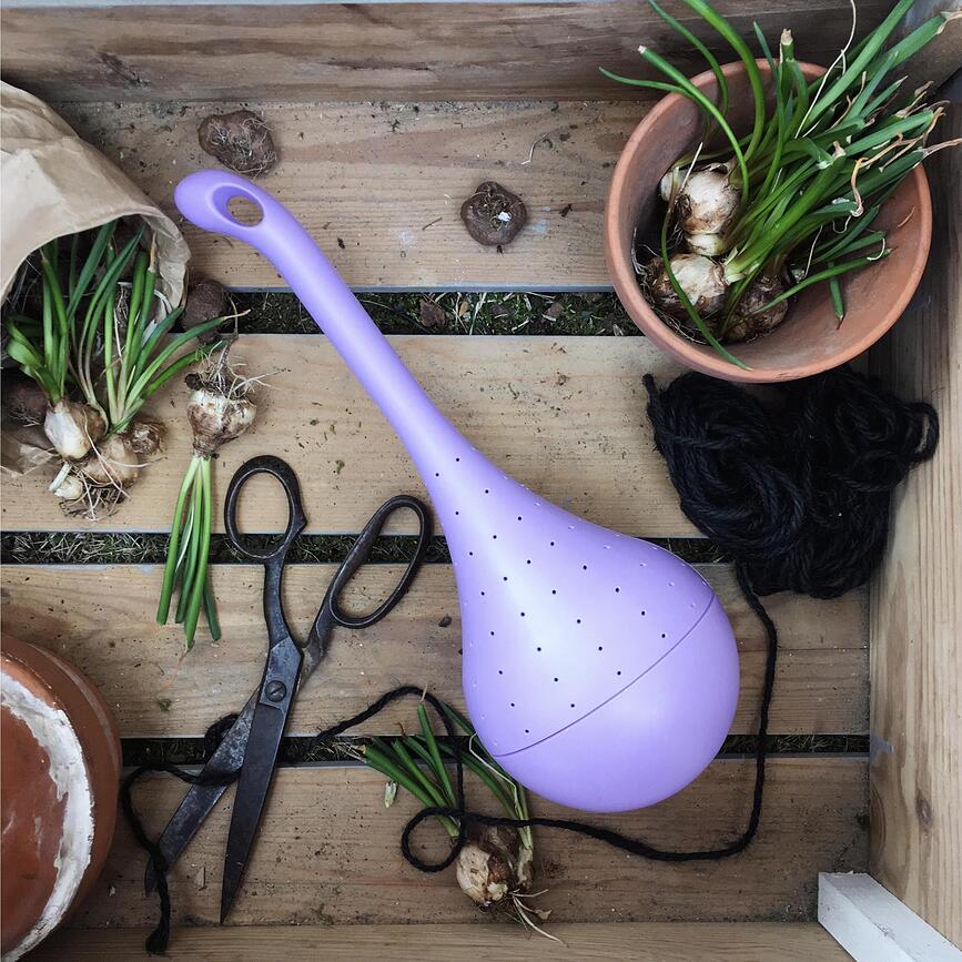 Comedero para Mariposas Butterfly Oasis, morado