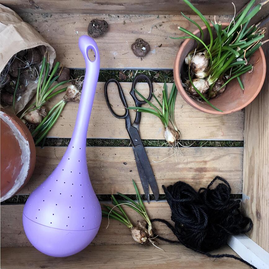 Comedero para Mariposas Butterfly Oasis, morado