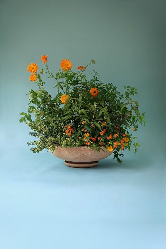 Ada Γλάστρα με πιατάκι, 30 cm, ροζ