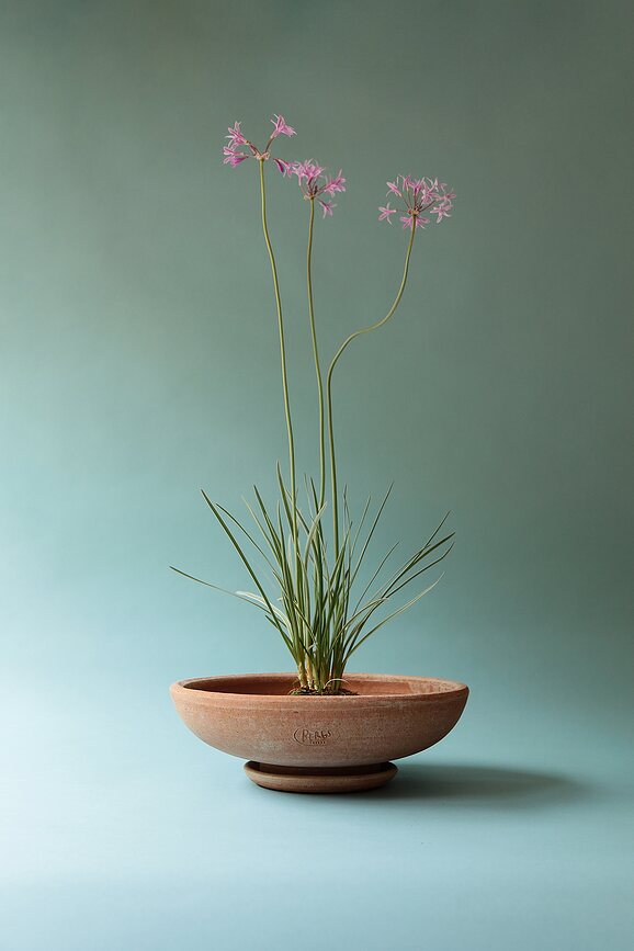 Ada Pot de fleurs avec soucoupe, 40 cm, rose