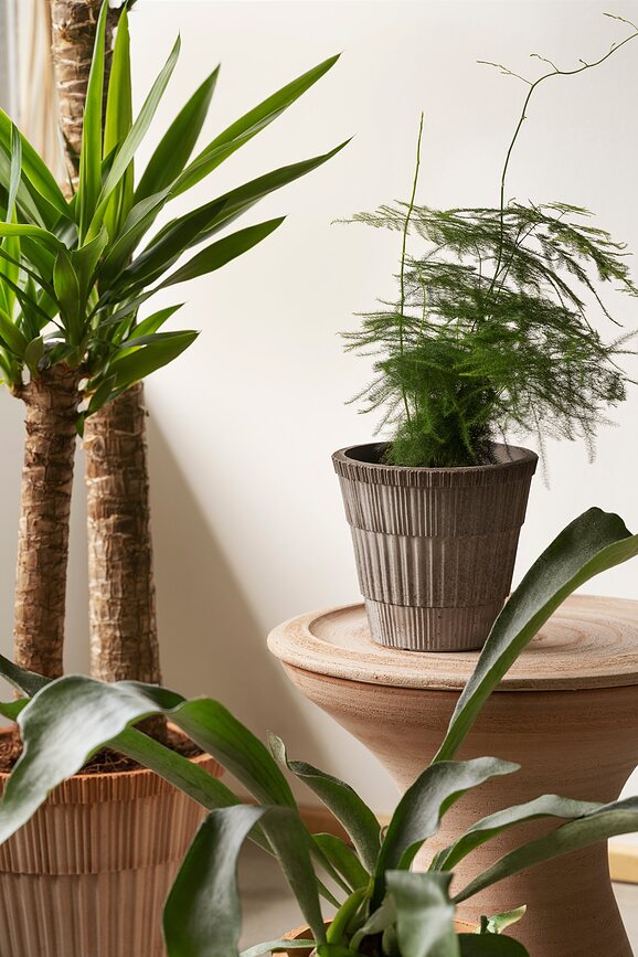 Atlas Lonček za rože s podstavkom, 18 cm, siv