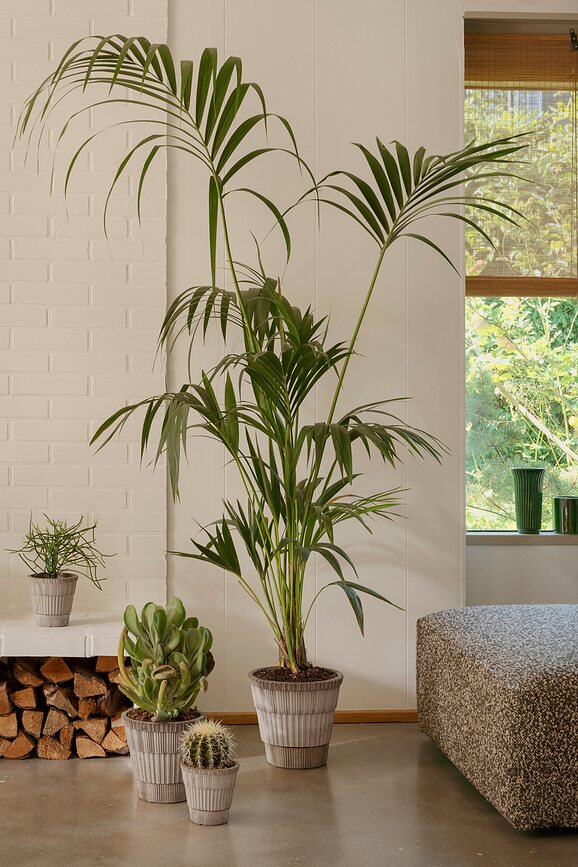 Atlas Pot de Fleurs avec soucoupe, 18 cm, gris