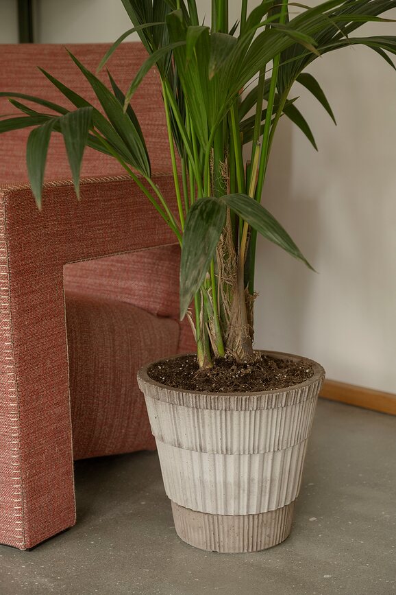 Atlas Pot de Fleurs avec soucoupe, 18 cm, gris