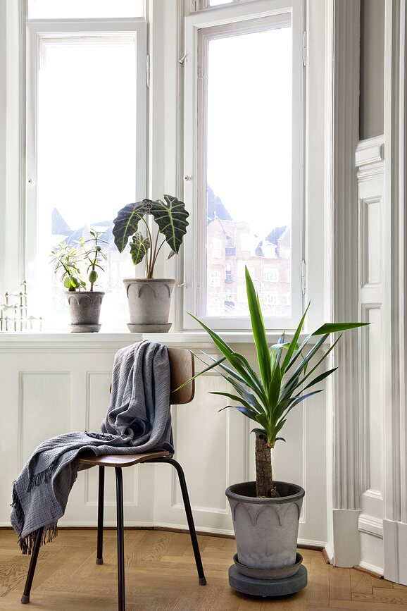 Base Rodante para maceta Bergs Potter Rolling Stone, 25 cm, blanco