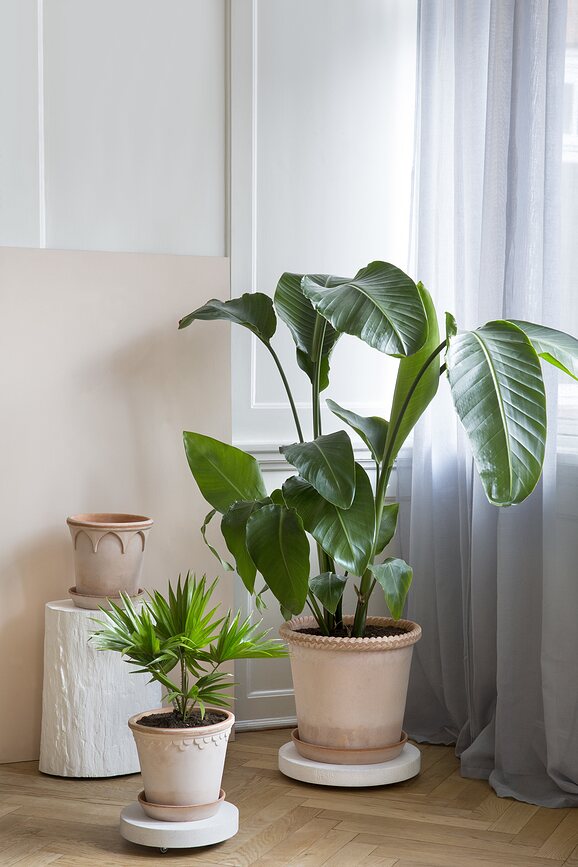 Bergs Potter Rolling Stone Podest za lončanicu 35 cm sivi