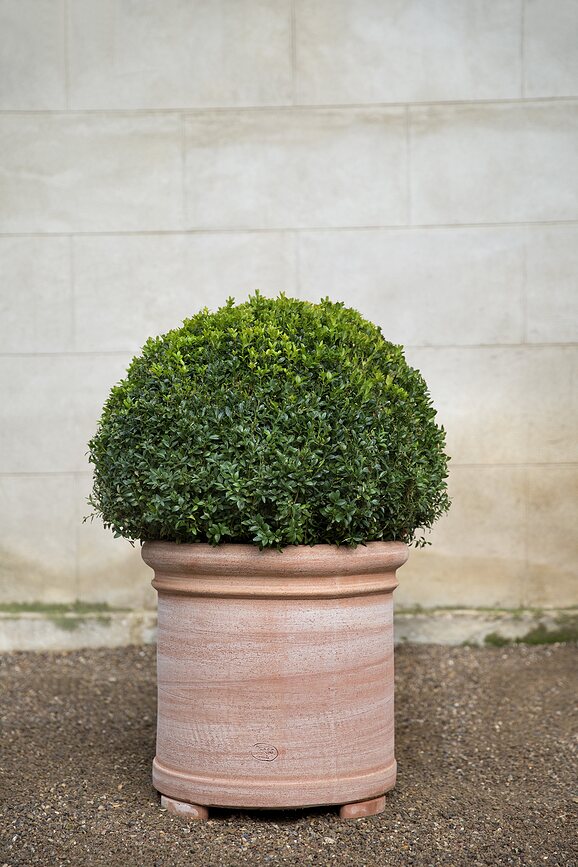 Cilindro Pot de Fleurs 40 cm, rose