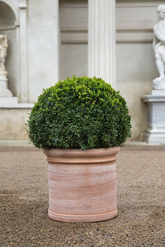 Cilindro Vrtni lonec, 40 cm, roza