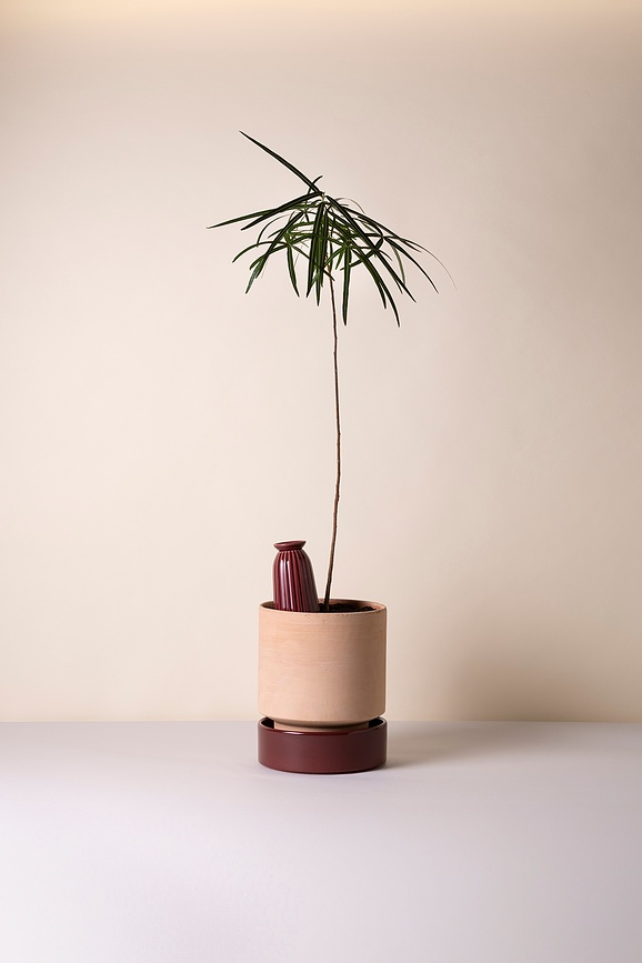 Cove Αυτόματο Ποτιστήρι, 700 ml, μπορντό