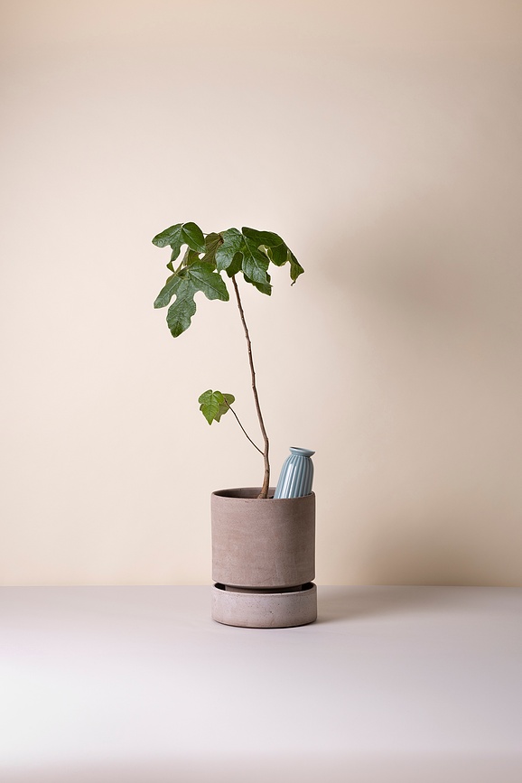 Cove Goutteur pour plantes, 700 ml, bleu clair