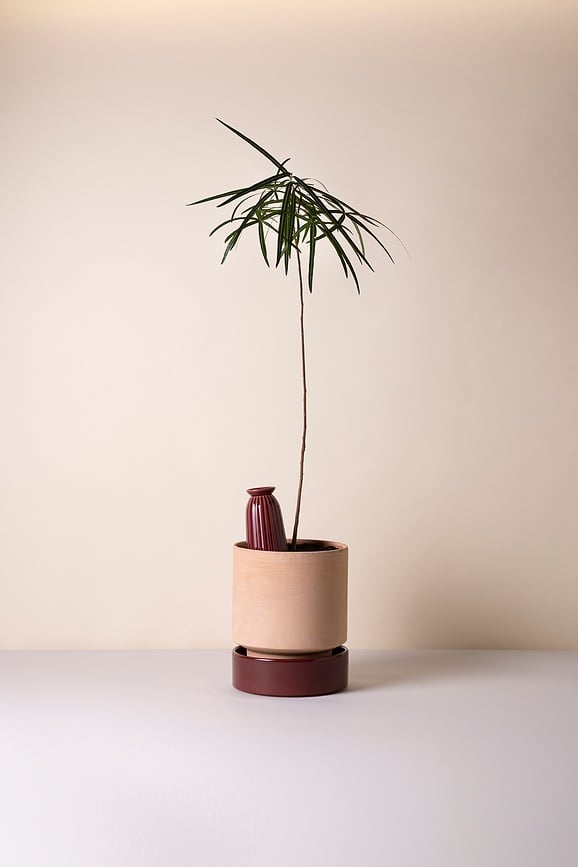 Cove Namakalnik za rože, 700 ml, bordo