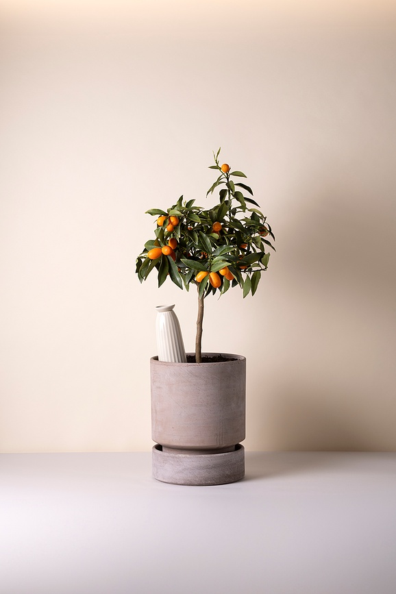 Cove Navodnjavač za biljke 300 ml pješčani