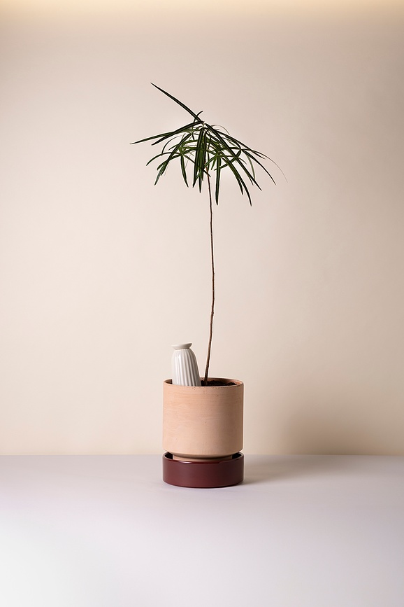 Cove Navodnjavač za biljke 300 ml pješčani