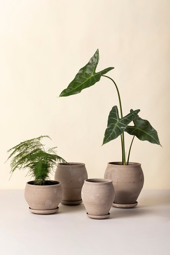 Delphi Γλάστρα με Πιατάκι, 26 εκ., γκρι