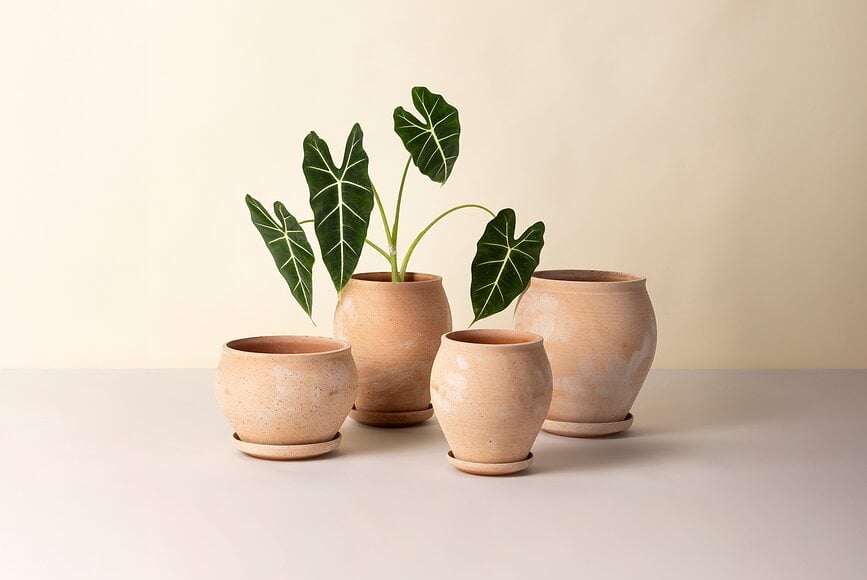 Delphi Γλάστρα με Πιατάκι, 26 εκ., ροζ