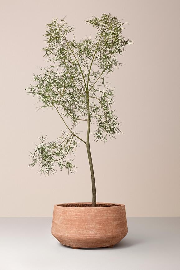 Donica Doma 90 cm różowa