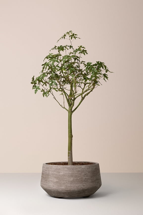 Donica Doma 90 cm szara