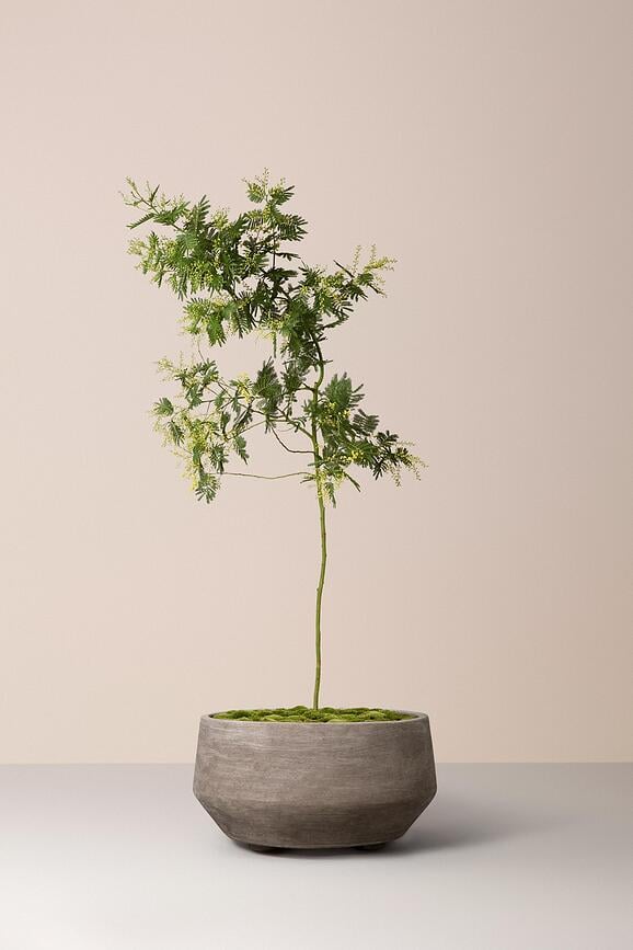 Donica Doma 90 cm szara