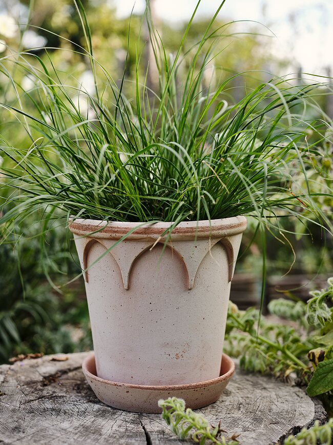 Elizabeth Cvetlični lonec s podstavkom, 12 cm, roza