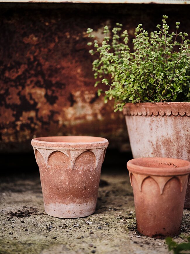 Elizabeth Cvetlični lonec s podstavkom, 12 cm, roza