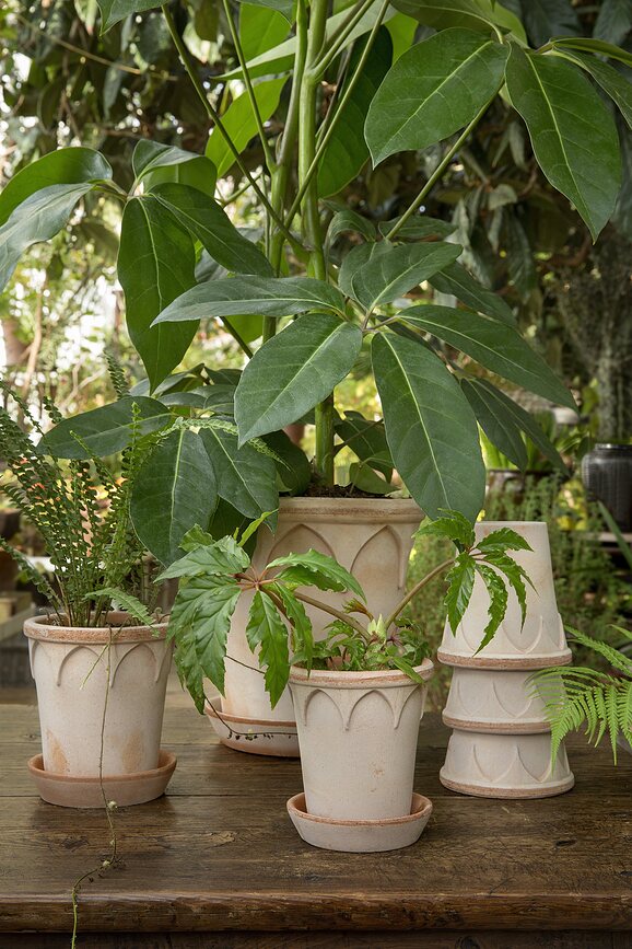 Elizabeth Cvetlični lonec s podstavkom, 12 cm, roza