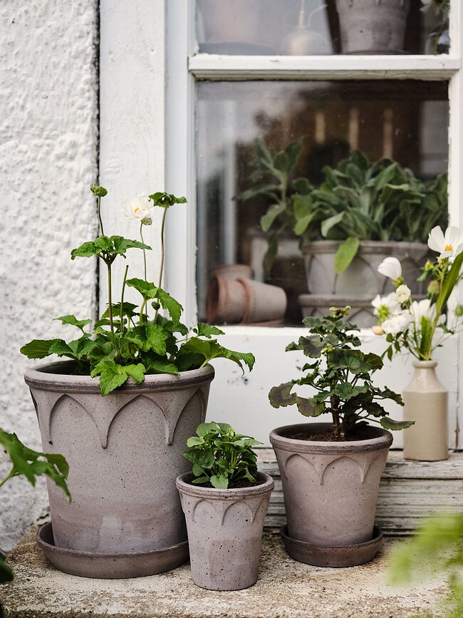 Elizabeth Γλάστρα με πιατάκι, 12 εκ., γκρι