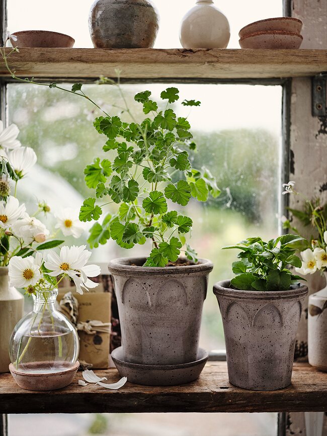 Elizabeth Γλάστρα με πιατάκι, 12 εκ., γκρι