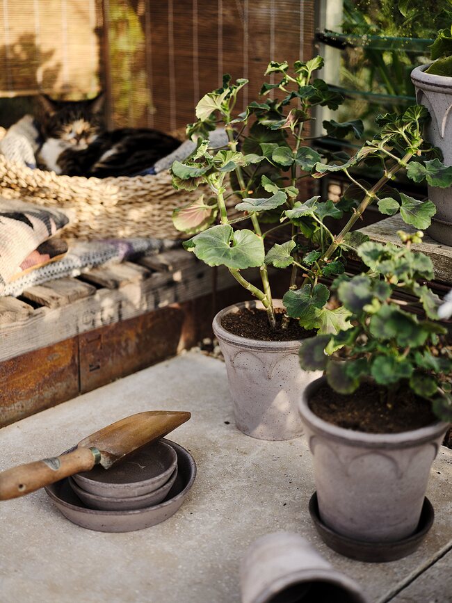 Elizabeth Γλάστρα με πιατάκι, 12 εκ., γκρι