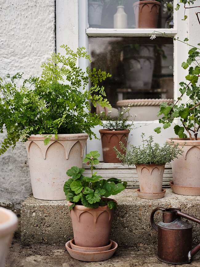 Elizabeth Γλάστρα με πιατάκι, 12 cm, ροζ