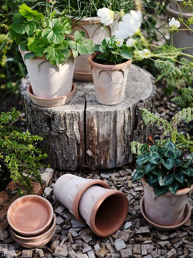 Elizabeth Γλάστρα με πιατάκι, 12 cm, ροζ