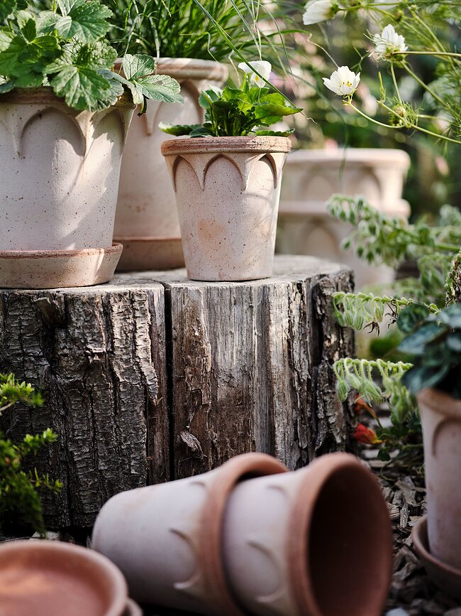 Elizabeth Γλάστρα με πιατάκι, 12 cm, ροζ