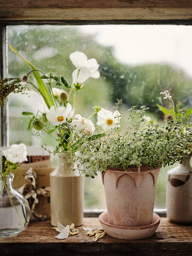 Elizabeth Pot de Fleurs avec soucoupe, 14 cm, rose