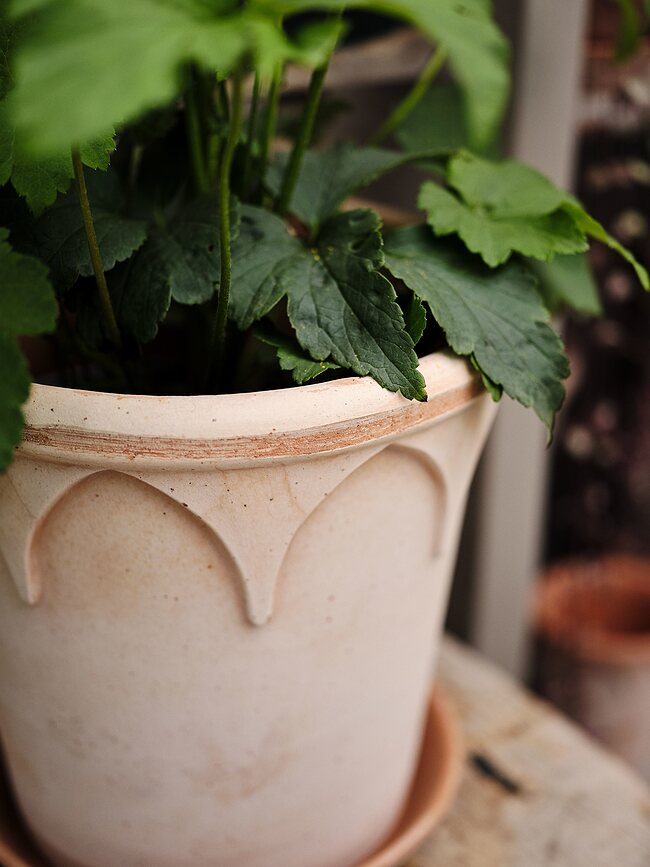 Elizabeth Pot de Fleurs avec soucoupe, 14 cm, rose