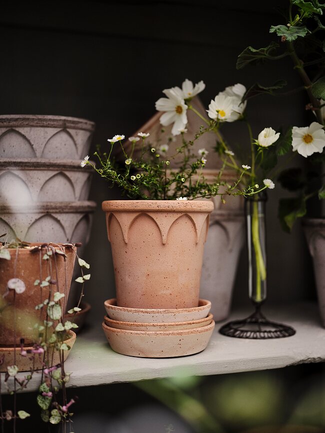 Elizabeth Pot de Fleurs avec soucoupe, 14 cm, rose