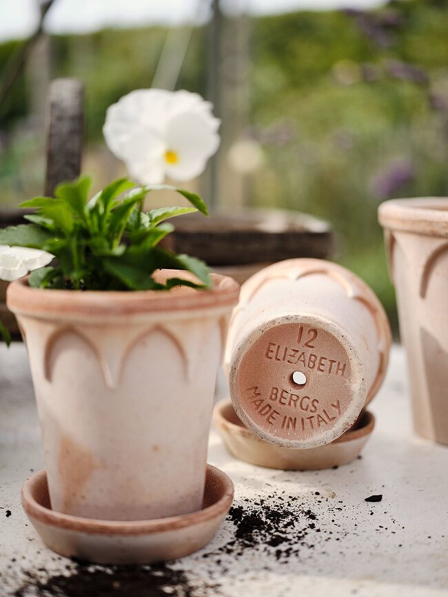 Elizabeth Pot de Fleurs avec soucoupe, 14 cm, rose