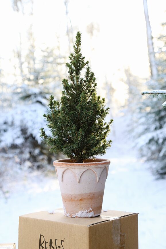 Elizabeth Pot de Fleurs avec soucoupe, 14 cm, rose