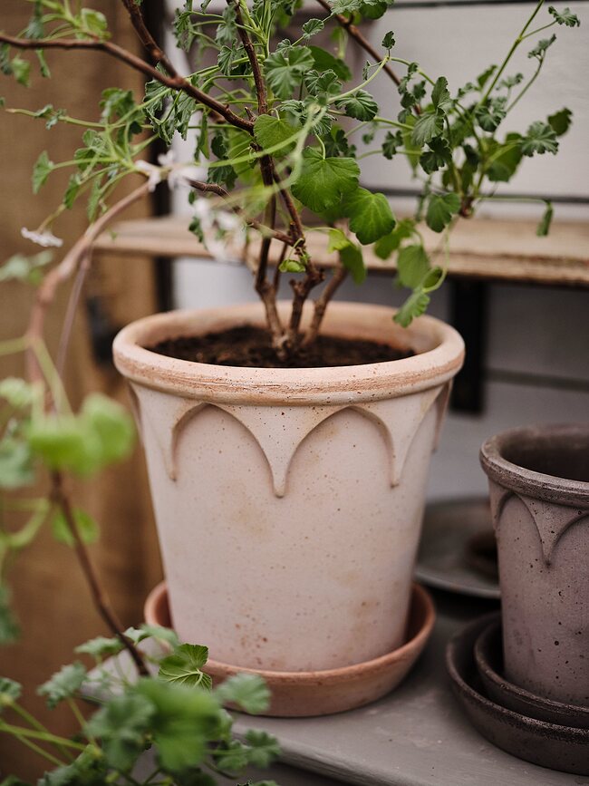 Elizabeth Pot de Fleurs avec soucoupe, 14 cm, rose
