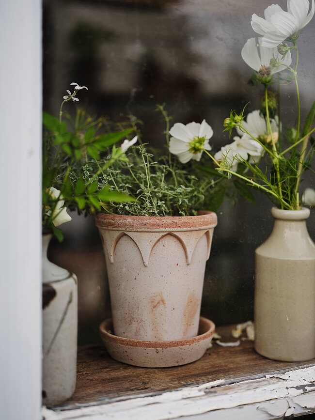 Elizabeth Pot de Fleurs avec soucoupe, 14 cm, rose