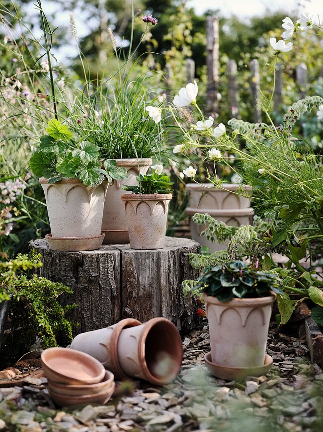 Elizabeth Pot de Fleurs avec soucoupe, 14 cm, rose