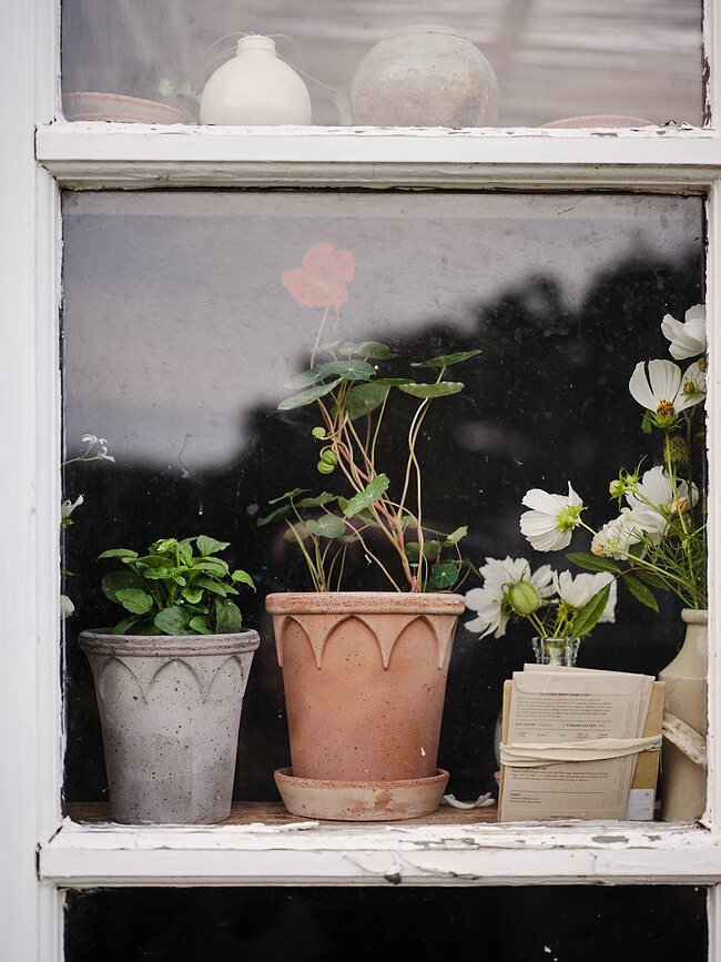 Elizabeth Pot de Fleurs avec soucoupe, 14 cm, rose