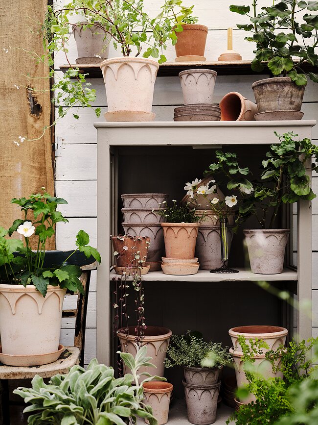 Elizabeth Pot de Fleurs avec soucoupe, 14 cm, rose