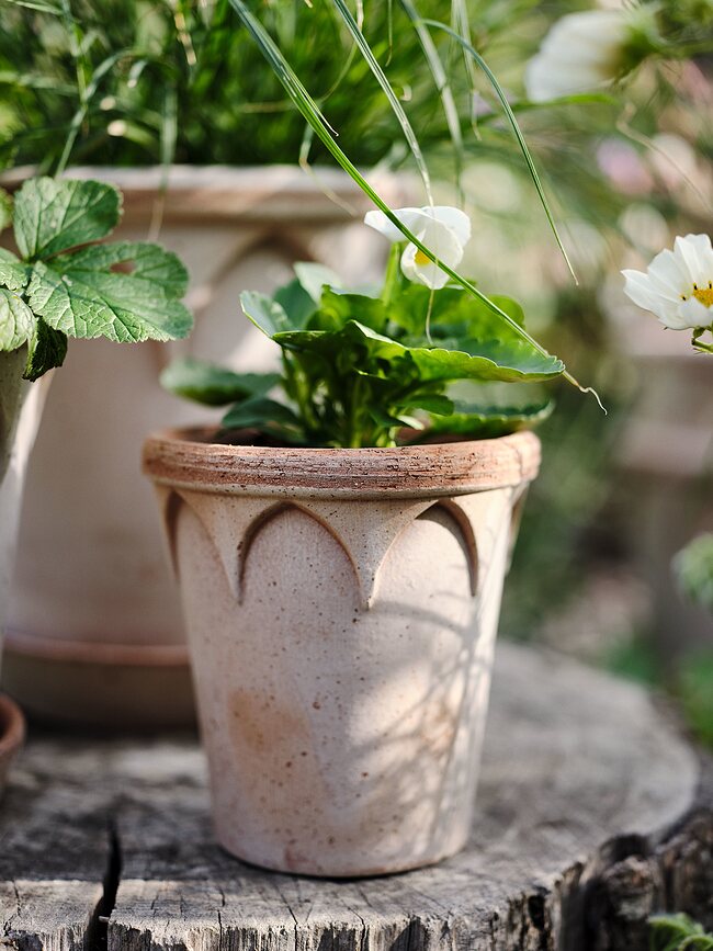Elizabeth Pot de Fleurs avec soucoupe, 14 cm, rose