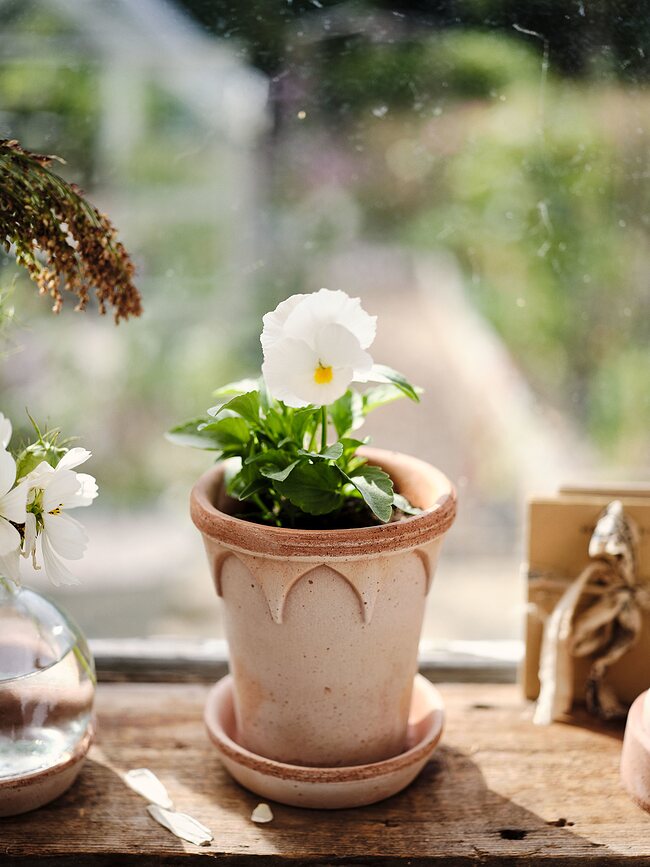 Elizabeth Pot de Fleurs avec soucoupe, 14 cm, rose