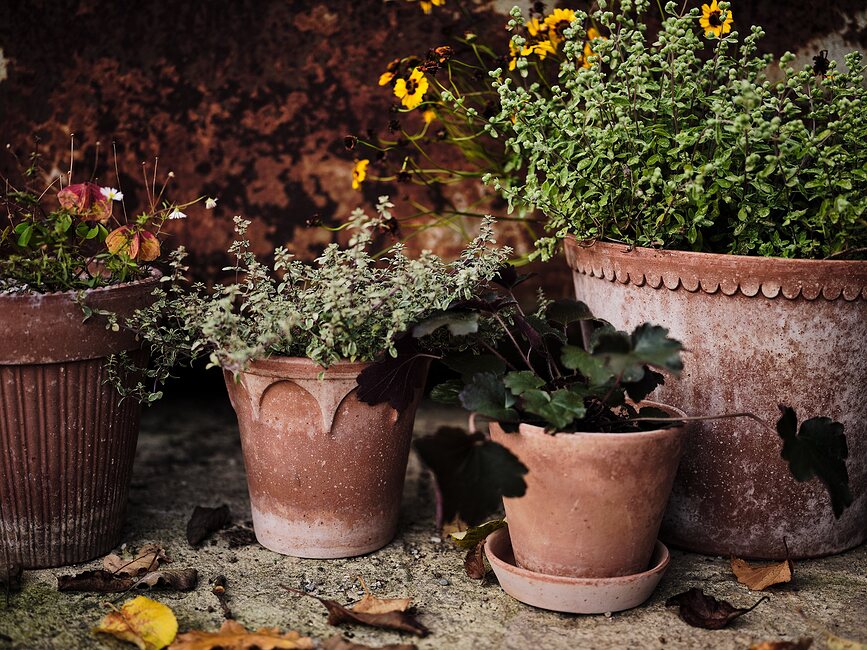 Elizabeth Pot de Fleurs avec soucoupe, 14 cm, rose