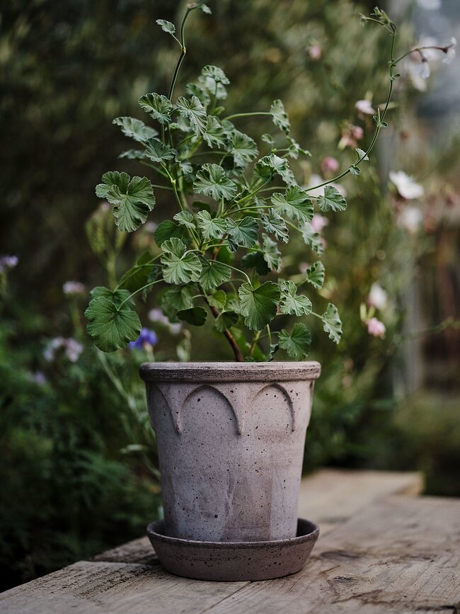 Elizabeth Pot de Fleurs avec soucoupe, 21 cm, gris