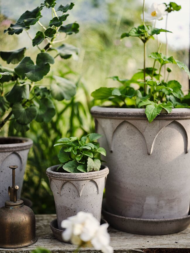 Elizabeth Pot de Fleurs avec soucoupe, 21 cm, gris